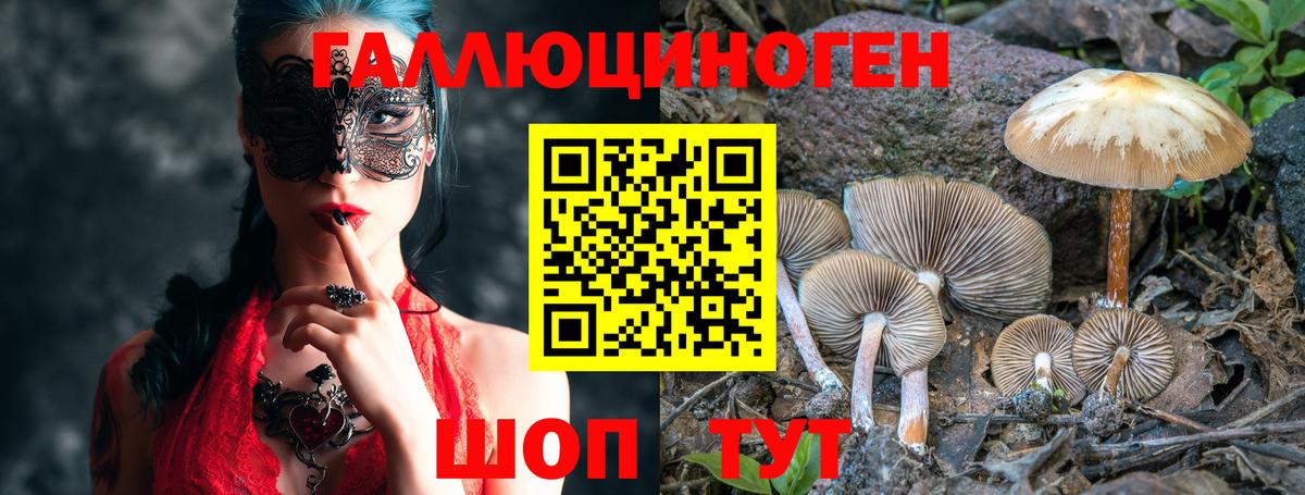хочу   Псилоцибиновые грибы мицелий  Вход с VPN  Донецк 