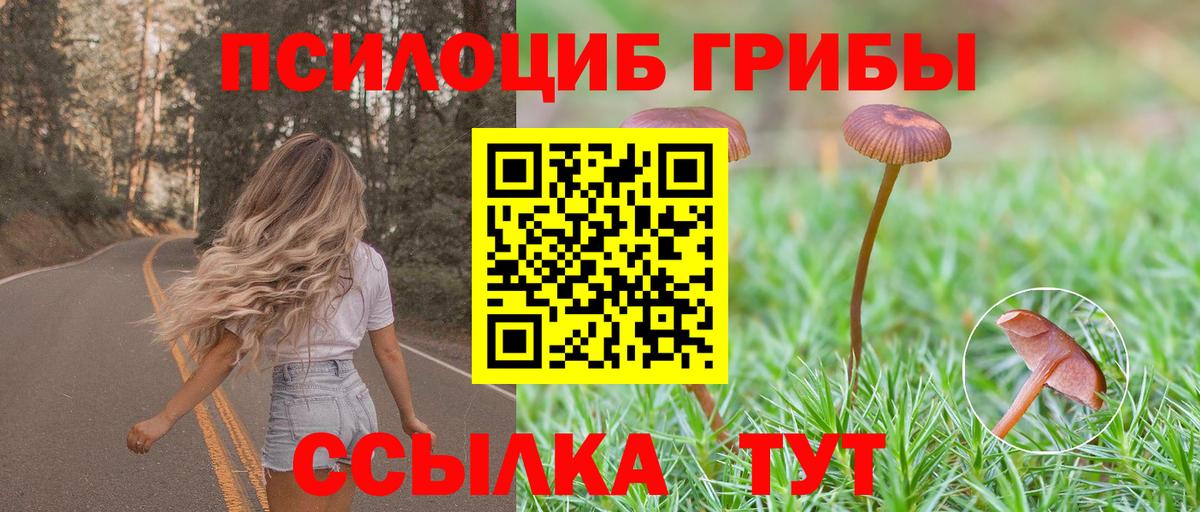 Галлюциногенные грибы ЛСД Донецк